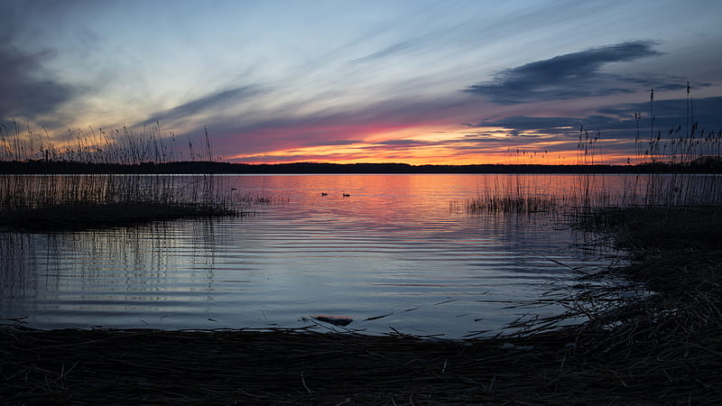 lake, horizon, sunset, dark, HD wallpaper