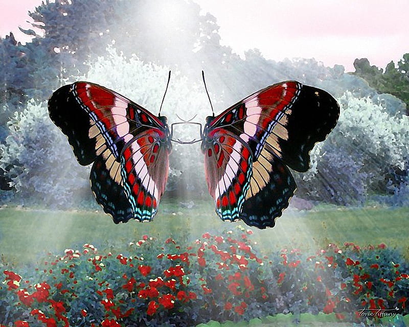 White Admiral Waltz, wings, butterflies, sunlight, art, colors, flowers, HD wallpaper