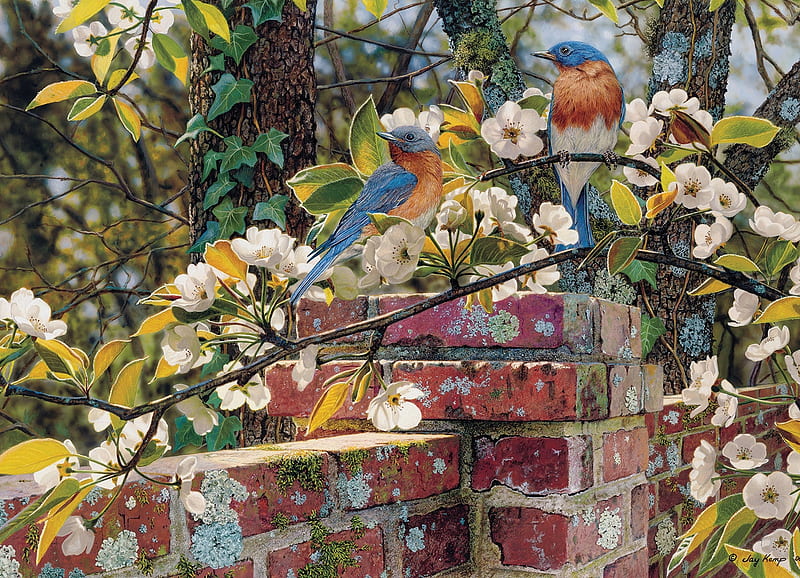 Backyard blues, art, frumusete, bird, luminos, flower, pasari, spring, jay kemp, HD wallpaper