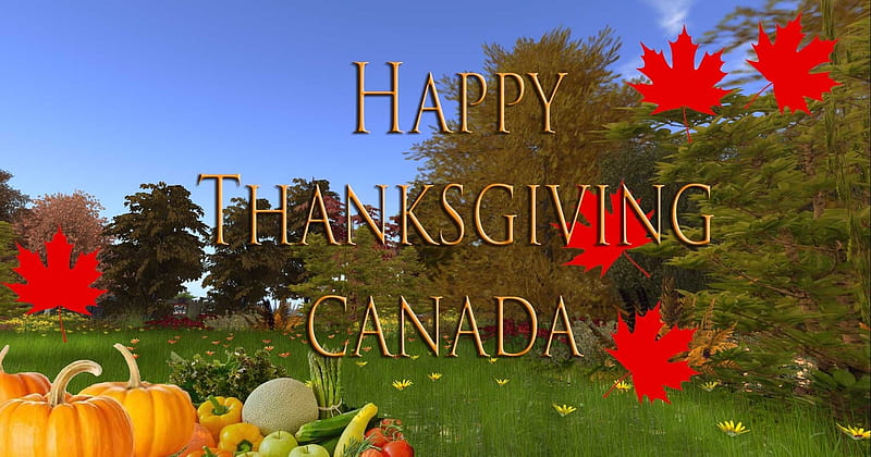 Happy Thanksgiving to All My Canadian Friends (Monday, October 12, 2020), Tomatoes, Maple Leaves, Squash, Sky, Field, Trees, Canada, Pumpkins, Gourds, Celebration of Harvest, Flowers, Harvest, Blue, Zucchini, HD wallpaper