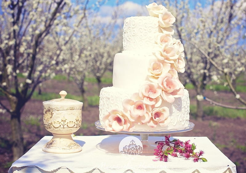 :), cake, graphy, wedding, abstract, HD wallpaper