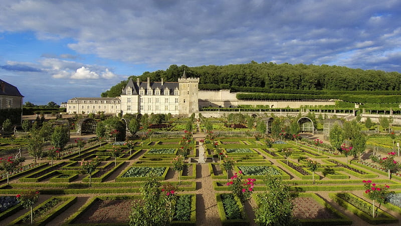 garden at chateau de villandry, forest, chateau, flowers, garden, clouds, HD wallpaper