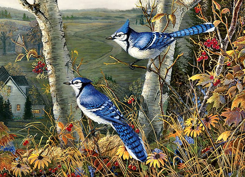 Autumn Blue Jays - Birds F1, blue jays, art, songbirds, bonito, illustration, artwork, animal, bird, avian, painting, wide screen, wildlife, nature, HD wallpaper