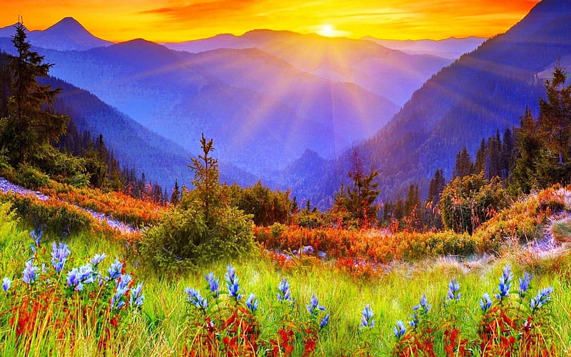 spectacular mountain sunrise, mountains, flowers, sunbeams, sunrise, meadow, HD wallpaper