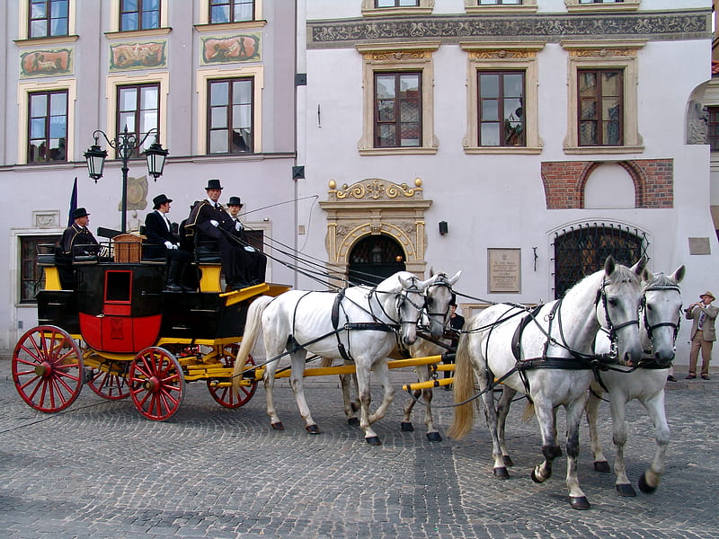 Ride for a Princess, horse, coach, carriage, formal, warsaw, royalty, classic, princess, wood, team, vintage, HD wallpaper
