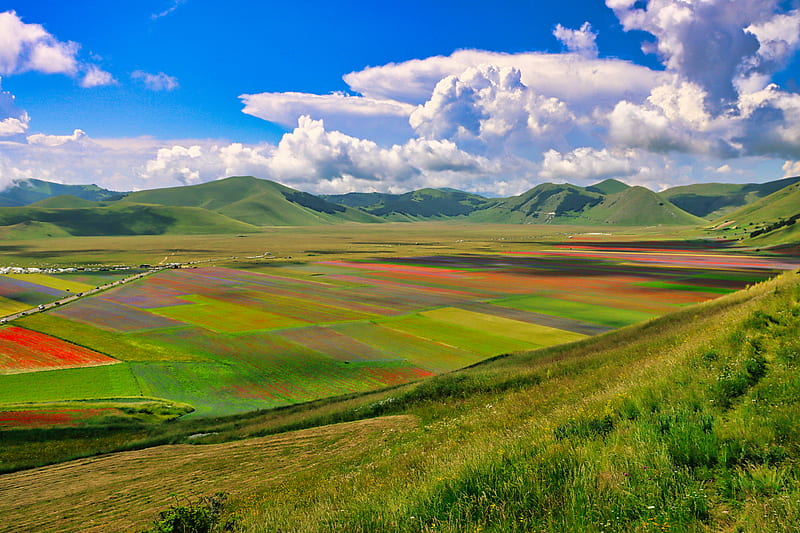 Green Grass Field Under Blue Sky During Daytime Hd Wallpaper Peakpx