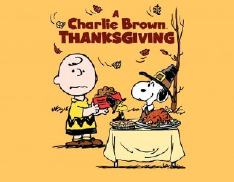 Charlie Brown Thanksgiving Wallpaper by Skyrina626Rainbow on DeviantArt