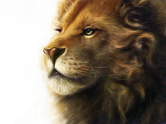 Aslan the Lion from The Chronicles of Narnia Movie Desktop Wallpaper