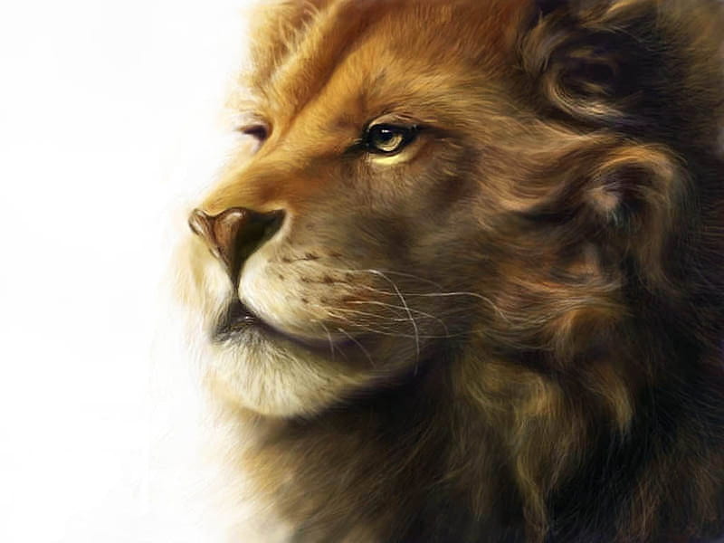 narnia aslan wallpaper