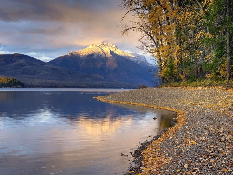 Fallen Leaves on the Shore of Lake McDonald, shore, leaves, mountains, river, trees, lake, Nature, HD wallpaper