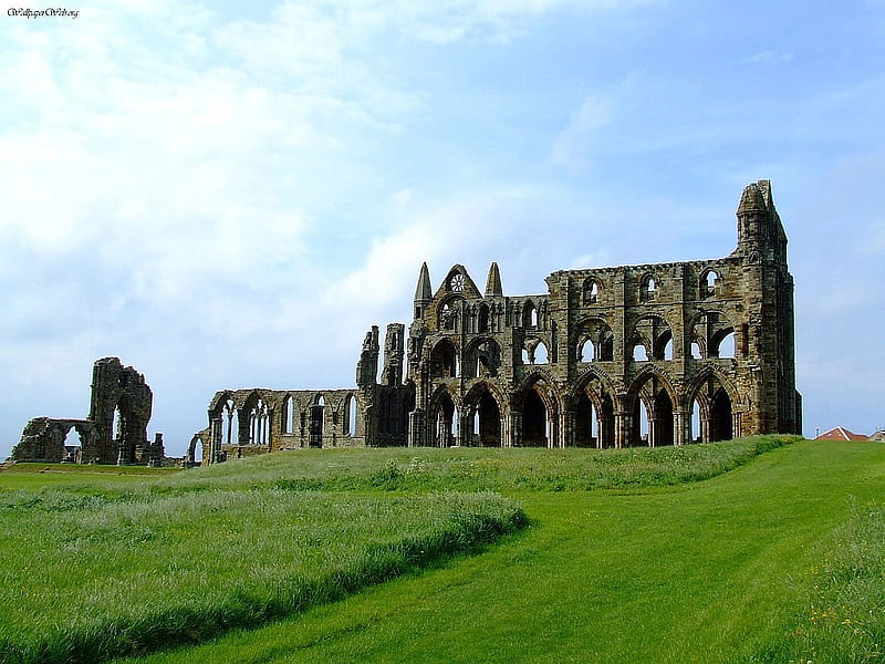 Whitby Abby, architecture, abbys, graphy, medieval, green, religious, HD wallpaper