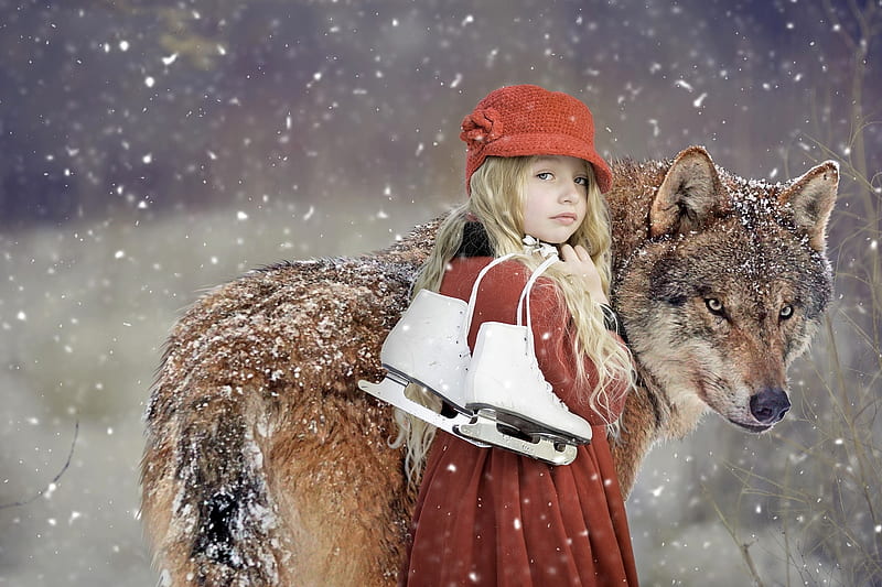 little girl and the wolf, winter, animal, red, girl, skates, little girl, wolf, HD wallpaper