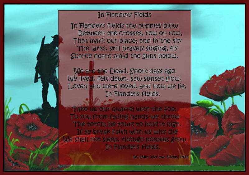 Flander's Field, guerra, Nov 11, Poem, Remembrance day, HD wallpaper