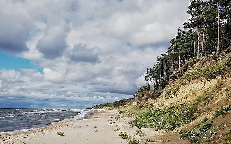 Seashore in Latvia, Latvia, trees, coast, sea, HD wallpaper