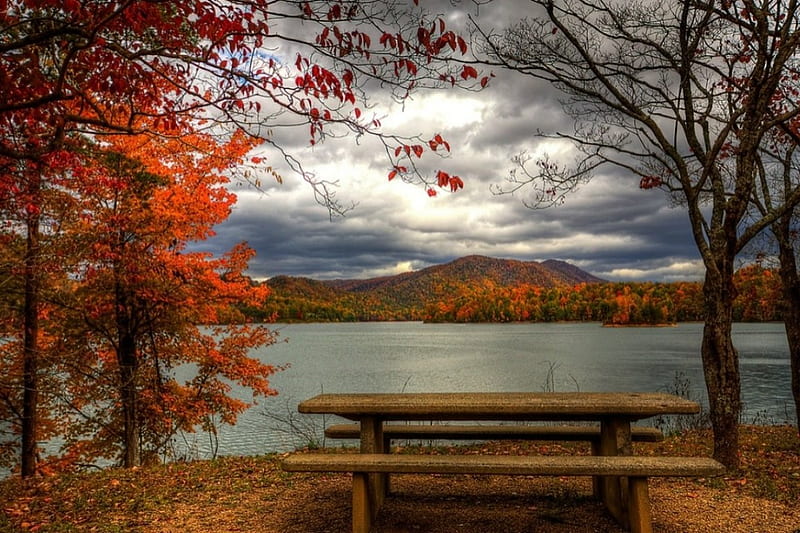 Autumn Lake, Fall, table, trees, clouds, lake, water, mountains, picnic table, Autumn, HD wallpaper