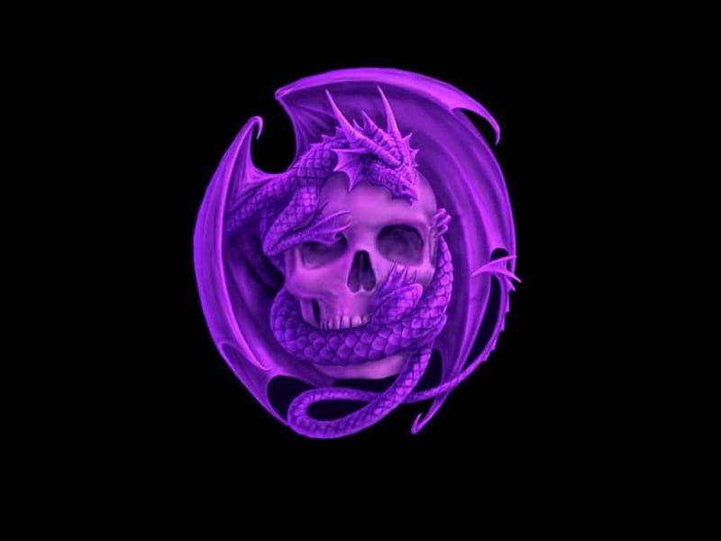purple dragon, black, purple, skull, dragon, HD wallpaper