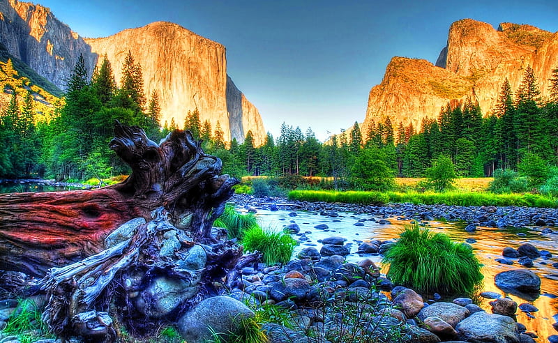 Beautiful Yosemite in R, margin, california, high definition, clouds, cenario, firs, stones, gold, mounts, stumps, bright, creeks, peaks, upper yosemite fall, beauty, yosemite national park, brightness, merced river, cena, golden, yosemite fall, black, sky, trees, pines, lower yosemite fall, water, cool, purple, mountains, awesome, violet, el capitan, border, colorful brown, gray, ambar, bonito, trunks, yosemite, green, amber, effects, mirror, burned tree, blue, amazing, national parks, colors, maroon, usa, plants, beautiful yosemite, day, blue sky, colours, reflected, branches, reflections, coast, HD wallpaper