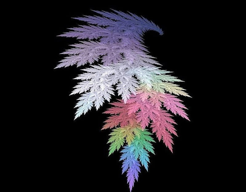 Colorful Leaf, colorful, art, black, leaf, HD wallpaper