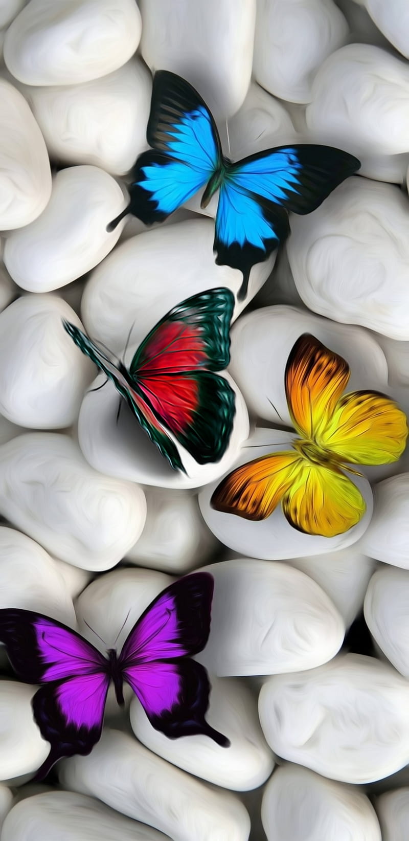 Rock , beauty, butterfly, color, my art, nature, rocks, white, zen, HD phone wallpaper