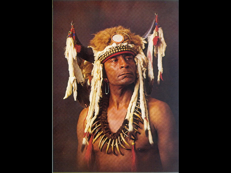 Buffalo Child, warrior, native, tradition, cherokee choctaw, HD wallpaper
