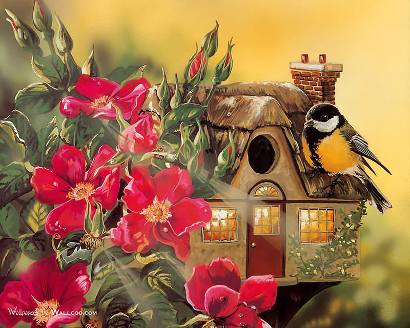 A Tiny Beauty, red, house, yellow, lights, leaves, green, flowers, chimney, roof thatch, black, roses, buds, song, bird, nature, petals, single, white, HD wallpaper
