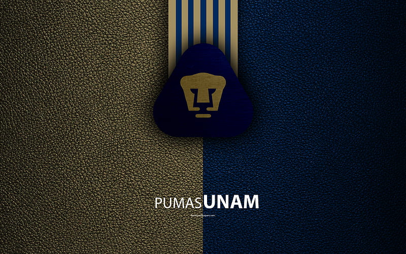 Club Universidad Nacional, Pumas UNAM leather texture, logo, Mexican football club, gold blue lines, Liga MX, Primera Division, Mexico City, Mexico, football, HD wallpaper