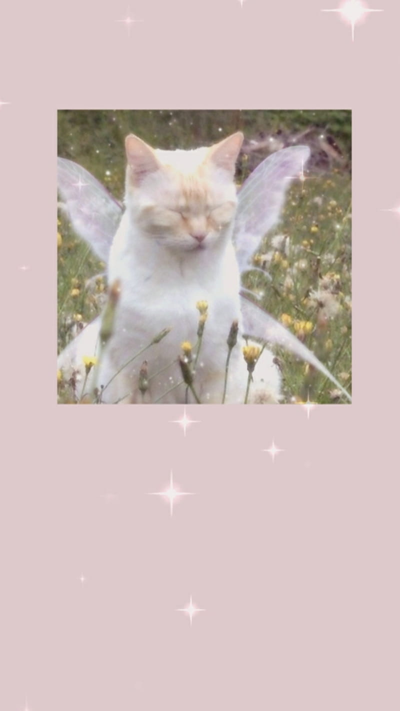 Fairy Kitty, aesthetic, cottagecore, cute, fairy kitty, HD phone wallpaper  | Peakpx