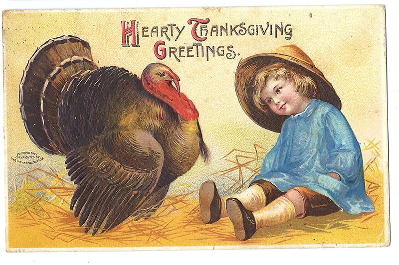 Happy Thanksgiving!, boy, turkey, bird, pasari, funny, vintage, thanksgiving, hat, retro, HD wallpaper
