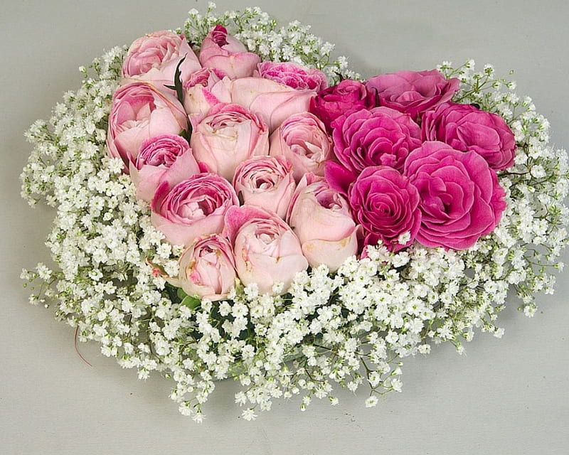 Flowers, lovely, bonito, soft, blossoms arrangement, nature, petals, blooms, delecate, HD wallpaper