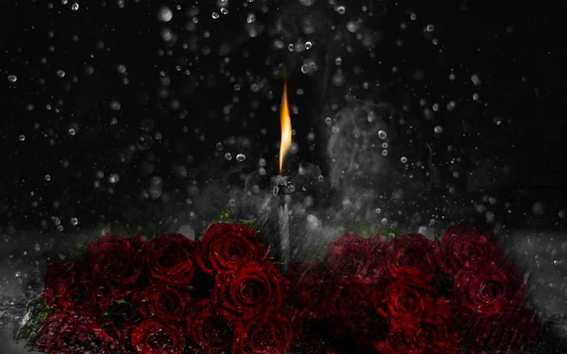 Unquenchable flame, red, raindrops, roses, burning match, flame, match, darkness, dark, gris, rain, smoke, HD wallpaper
