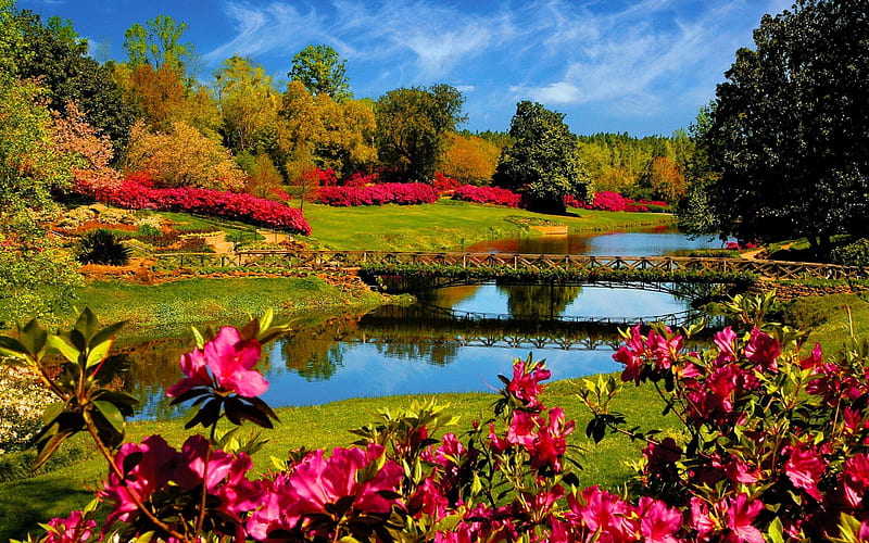 The beauty of Spring, Trees, Bridge, Grass, Lake, Flowers, Springtime, HD wallpaper