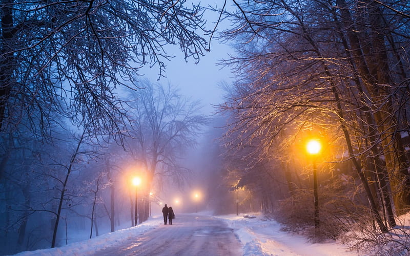 Winter Night, snow, street lights, nature, road, trees, couple, winter, HD wallpaper