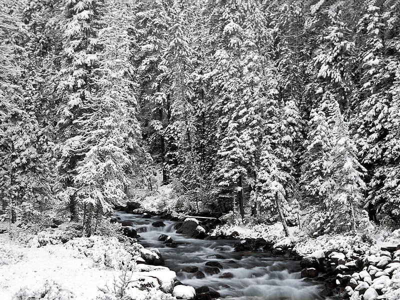 Mystik River, graphy, snow, river, trees, mystik, winter, cold, HD ...