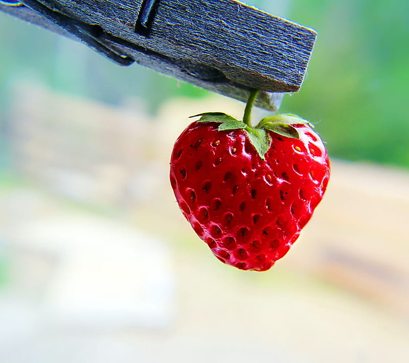 Strawberry Heart, heart, love, strawberry, HD wallpaper
