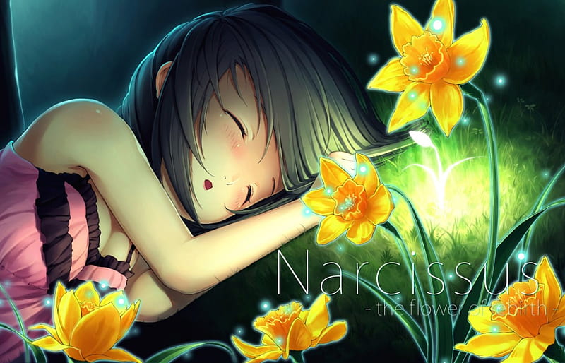 ~Narcissus: The Flower of Rebirth~, pretty, girl, anime, asleep, narcissus, flowers, yellow, night, HD wallpaper