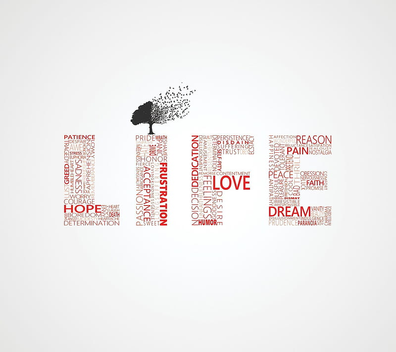 Life Words, dream, hope, love, patience, reason, HD wallpaper | Peakpx
