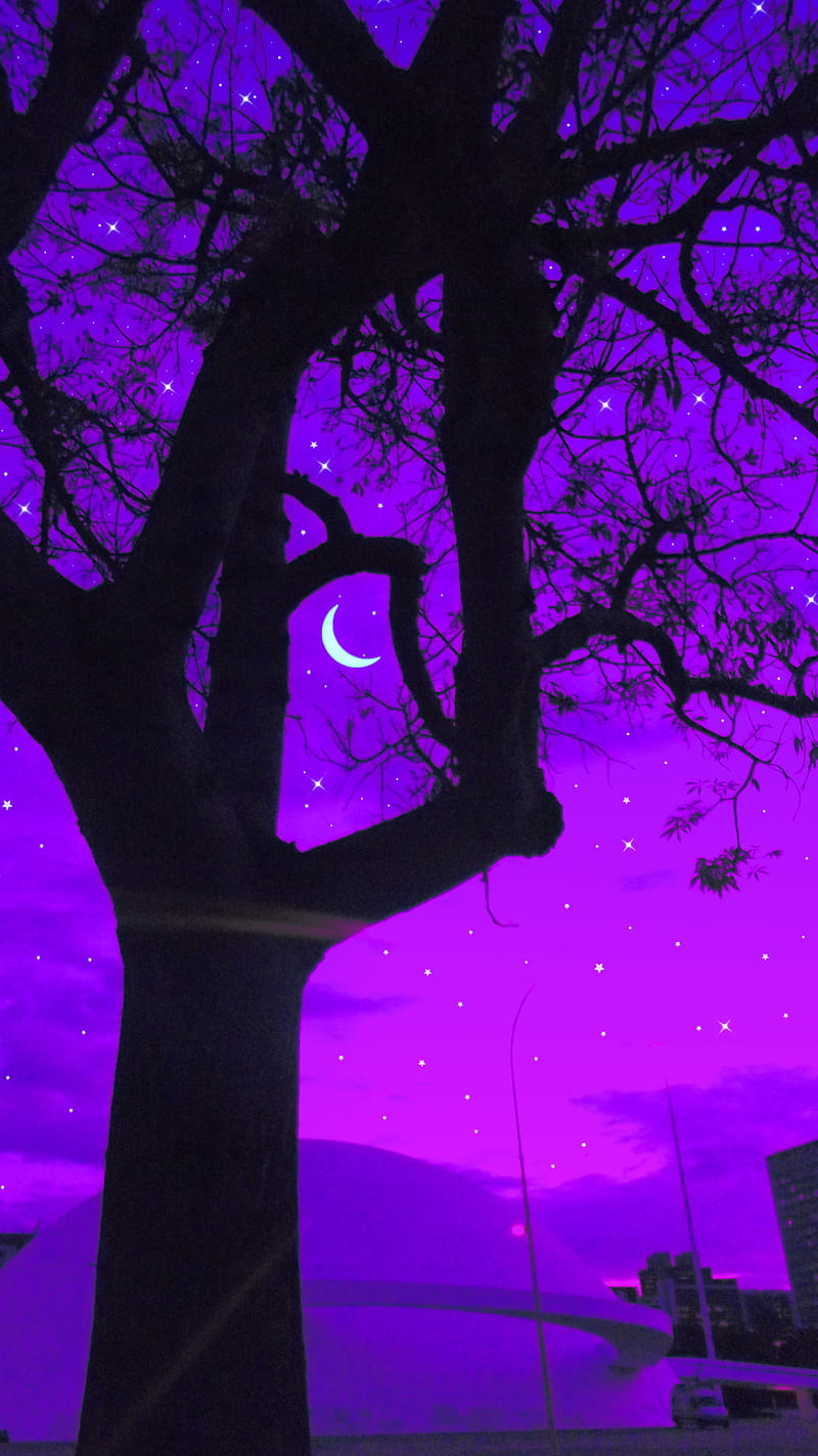 Archtree, Cajuca, tree, arvore, brasilia, cielo morado, lua, moon, moon, psicodelia, psicodelia, psychedelic art, purple, purple sky, roxo, tree, HD phone wallpaper