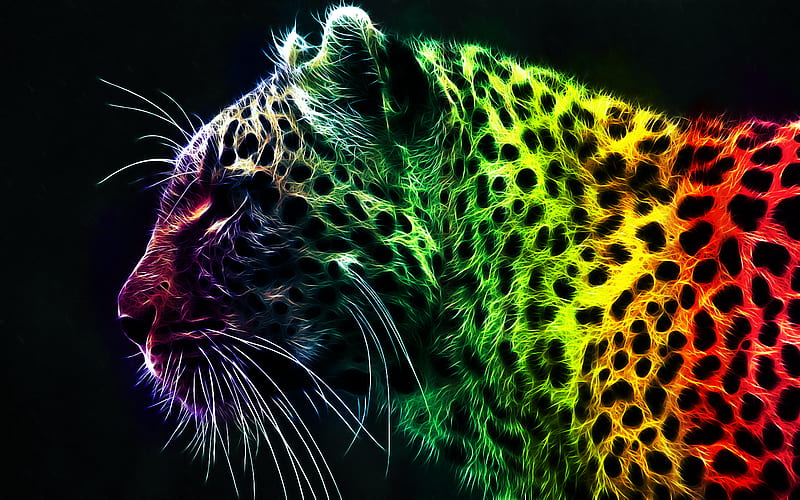 Rainbow Lepord, spotted, lepord, wild, rainbow, cat, HD wallpaper