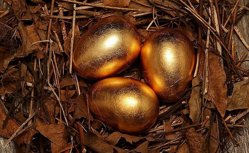Golden eggs, eggs, leaves, gold, brown, HD wallpaper