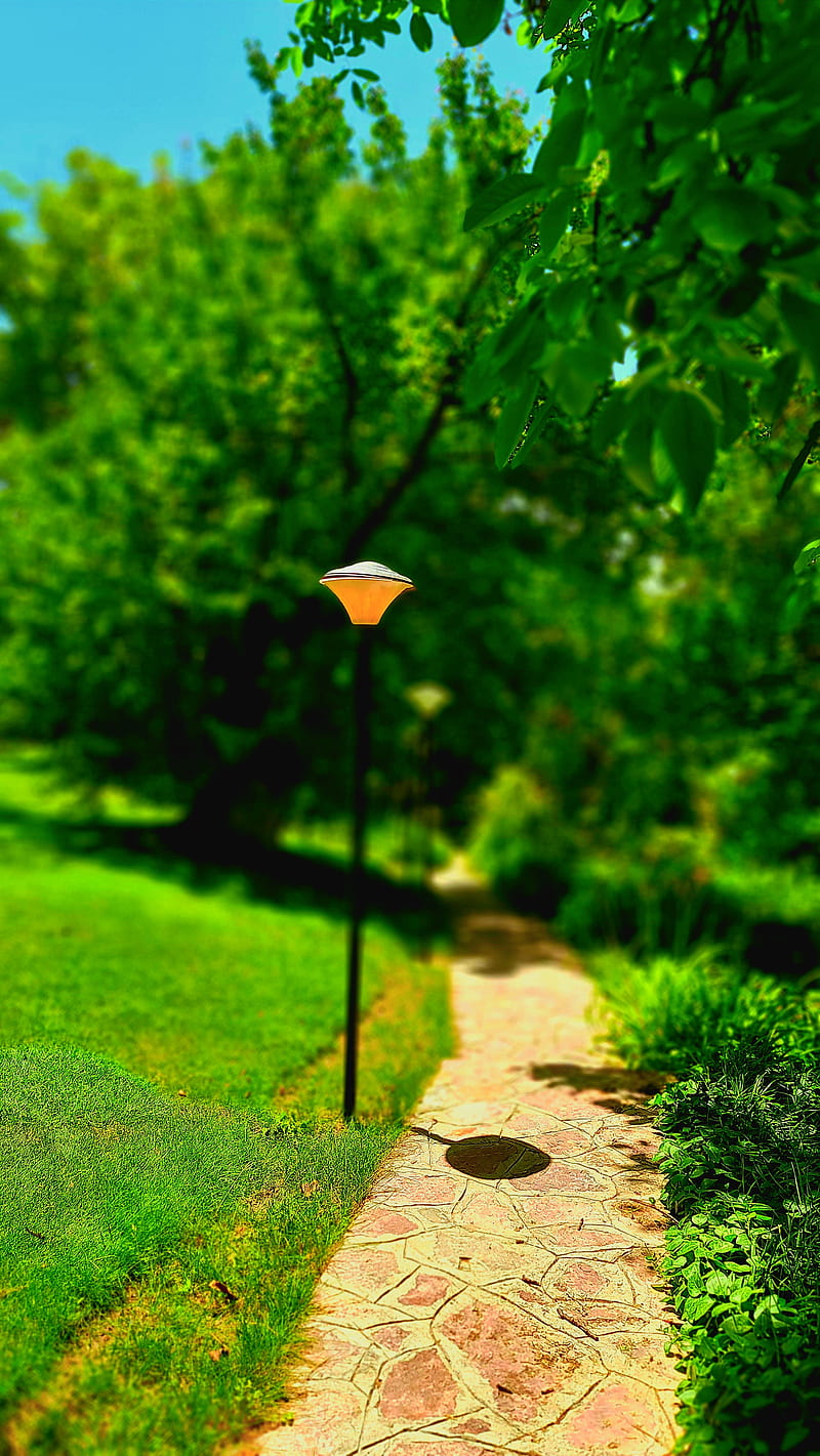 Golf ground lamp, garden, view, HD phone wallpaper | Peakpx