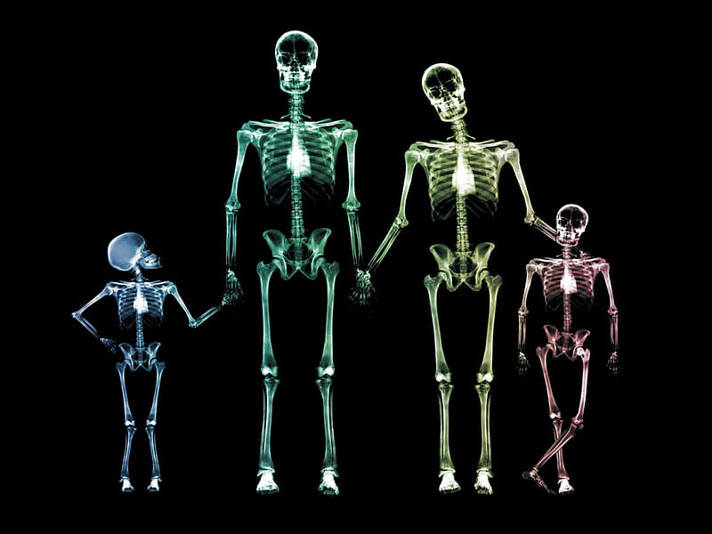 X-Ray Family, skeleton, skull, skeletons, x-ray, HD wallpaper