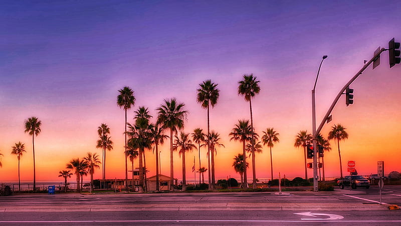 Susan Driscoll - Changing it up with a California sunrise! #beachlife #sunrise #palmtrees #californialove #California #vacation / Twitter, HD wallpaper