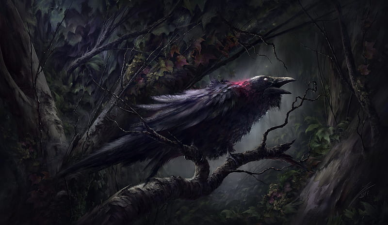 Raven, fantasy, bird, pasare, halloween, black, HD wallpaper