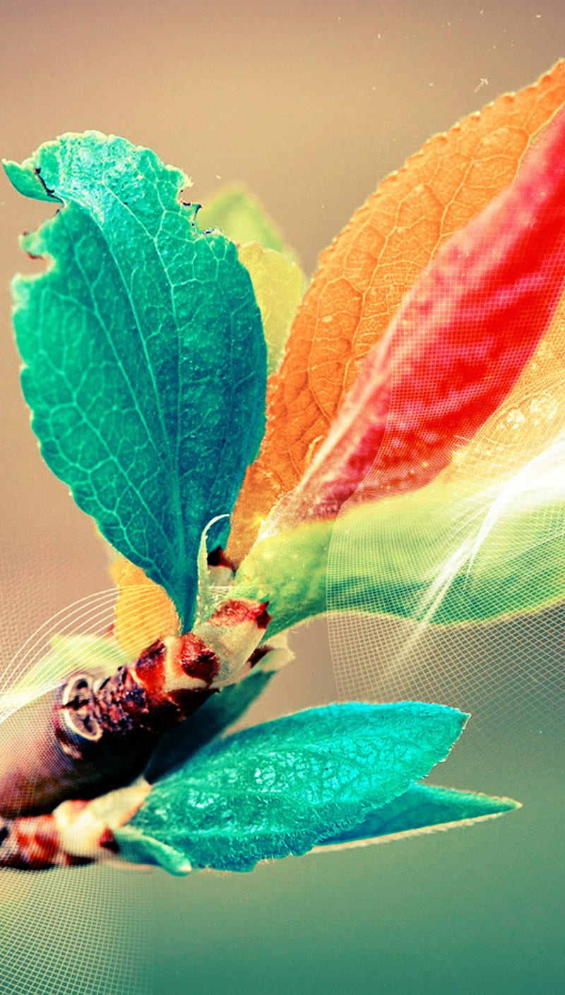 Colorful bud Leaf, blue, green, nature, orange, red, smoke, HD phone wallpaper