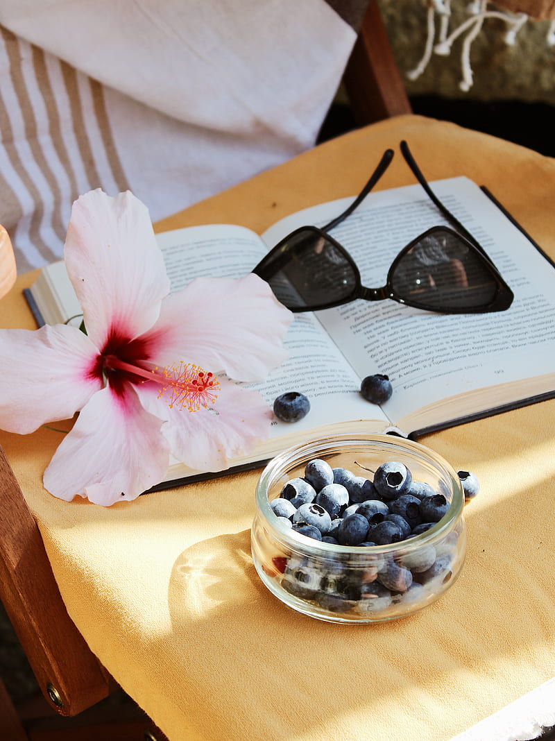 blueberry, flower, berry, book, glasses, HD phone wallpaper