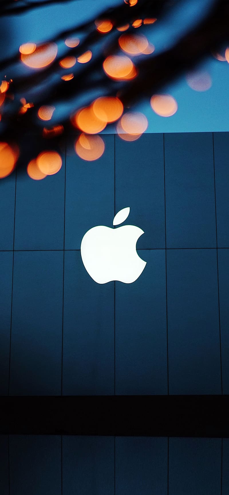 iPhone X . apple logo blue orange dark, Blue and Black Apple, HD phone wallpaper
