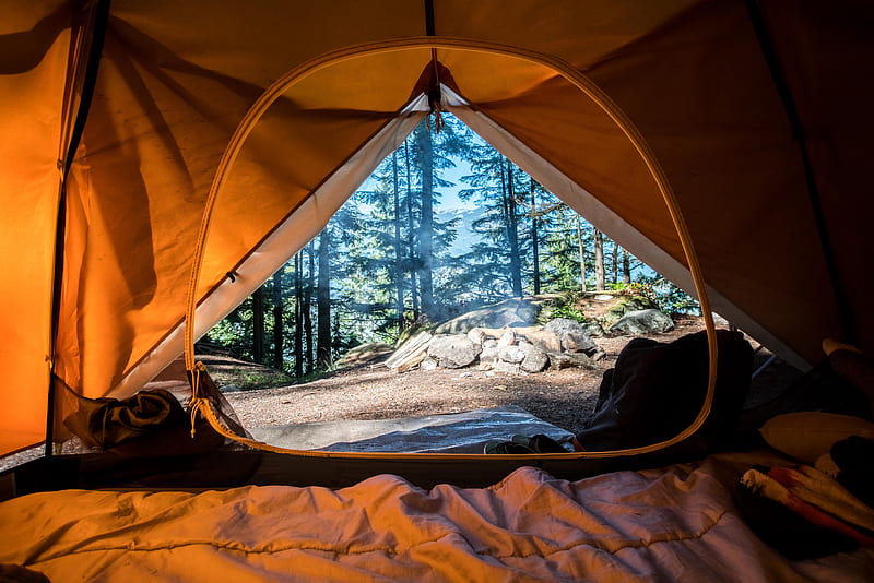 tent, camping, travel, tourism, nature, HD wallpaper