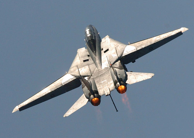F-14 Tomcat, aircraft, f14, military, jet, tomcat, HD wallpaper