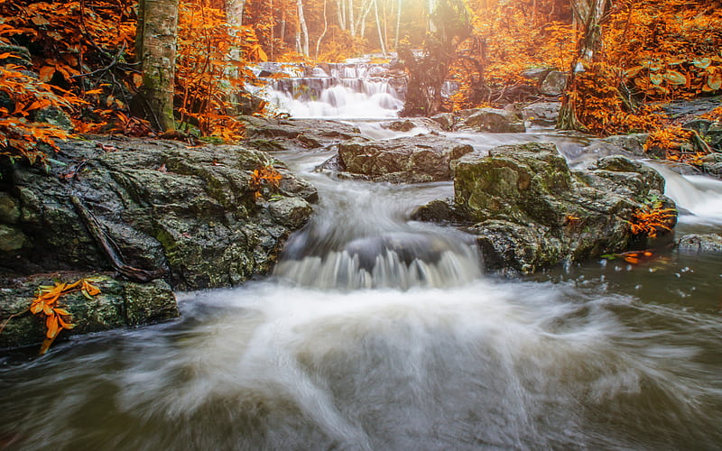 autumn landscape, waterfall, mountain river, yellow leaves, autumn, mountains, HD wallpaper