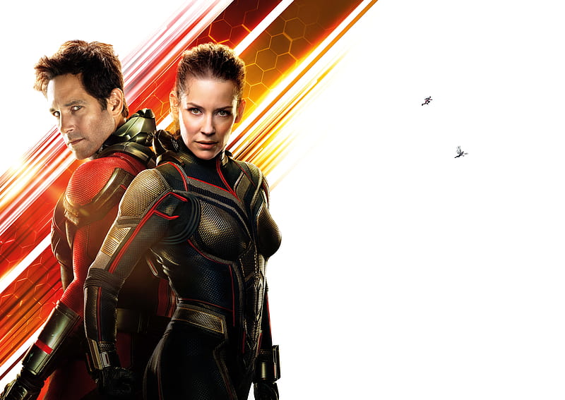 40 AntMan and the Wasp HD Wallpapers and Backgrounds